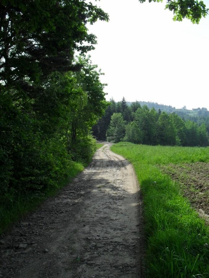zielony szlak