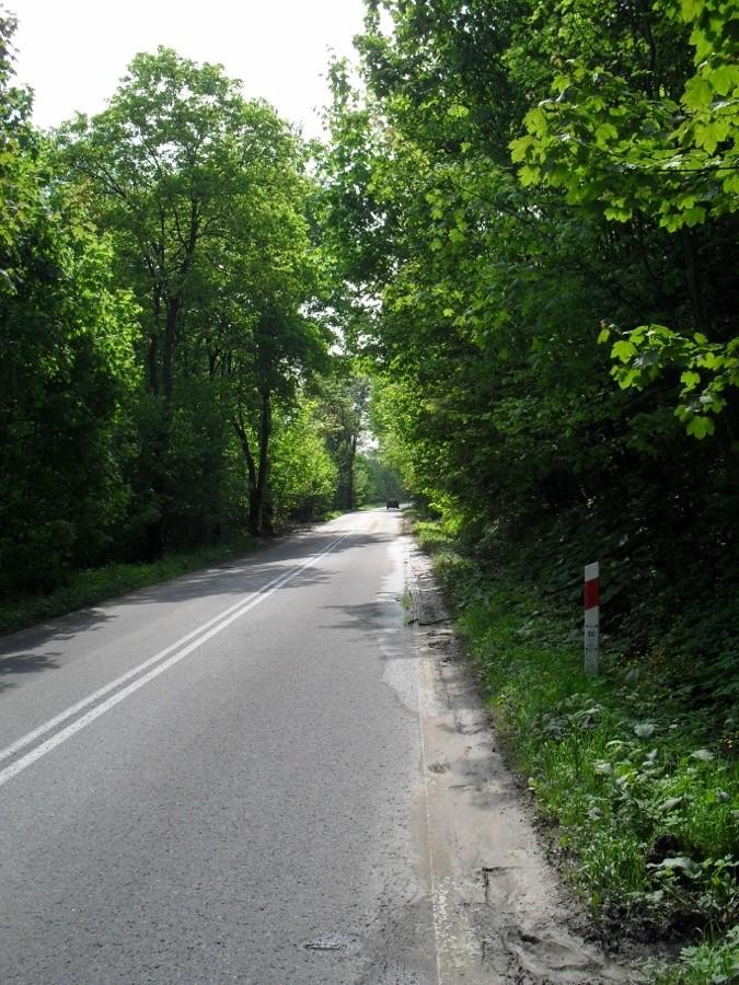 Droga Grybów-Krzyżówka