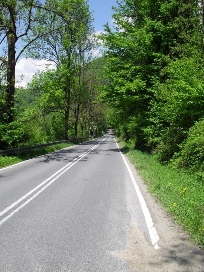 Droga Krynica-Piwniczna