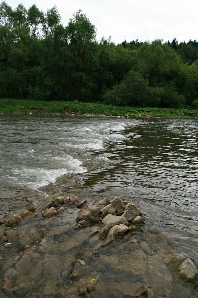 Łososina