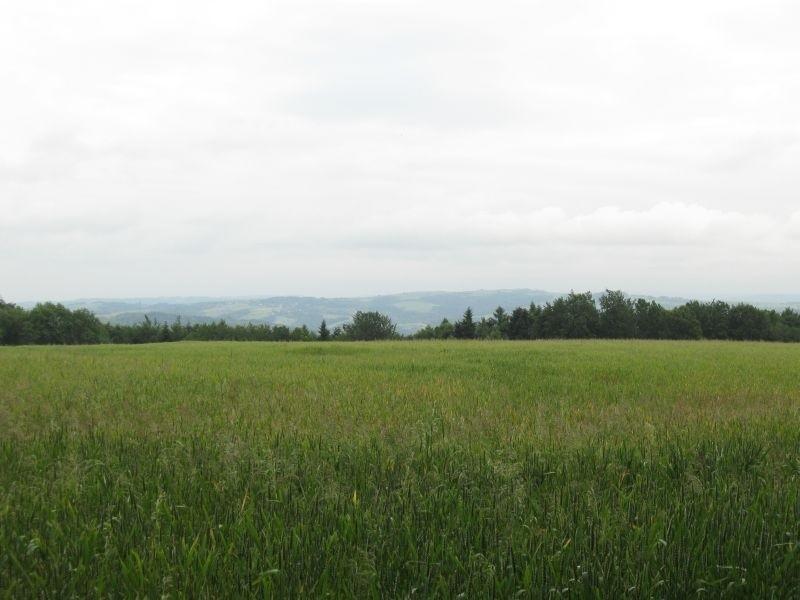 Widok na okolice Czudca- Połomii.
