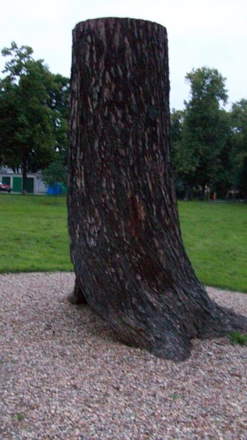 Takie coś znalazłem