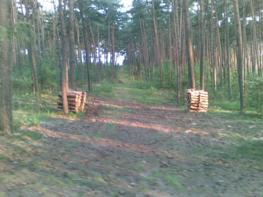 Leśny podjazd