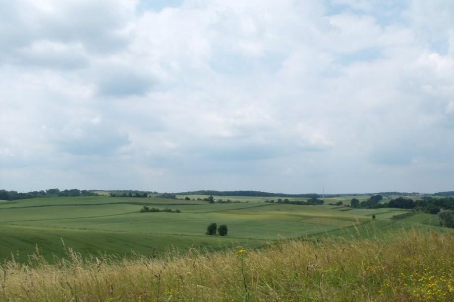 Wzgórza Trzebnickie I