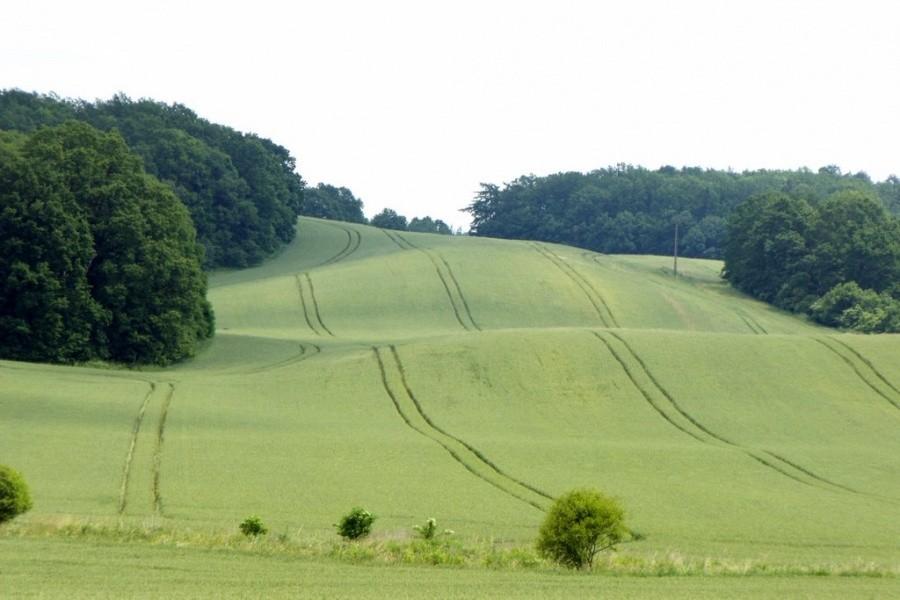 Wzgórza Trzebnickie II