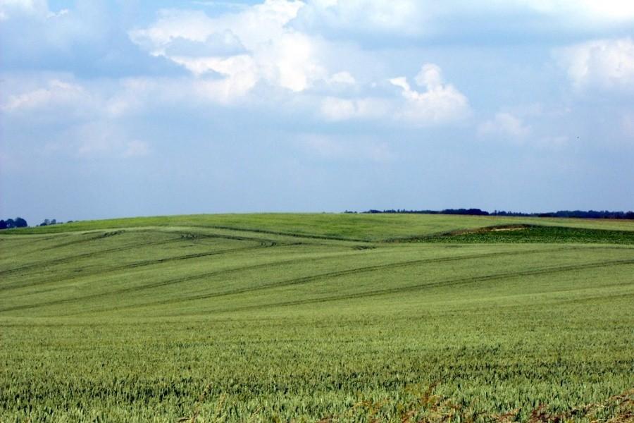 Windows wallpaper