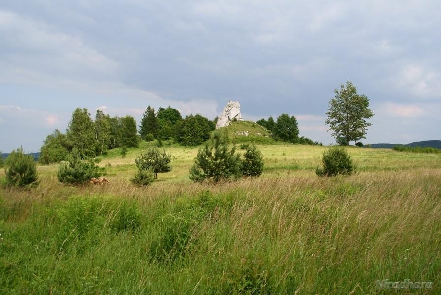 widoczek z drogi