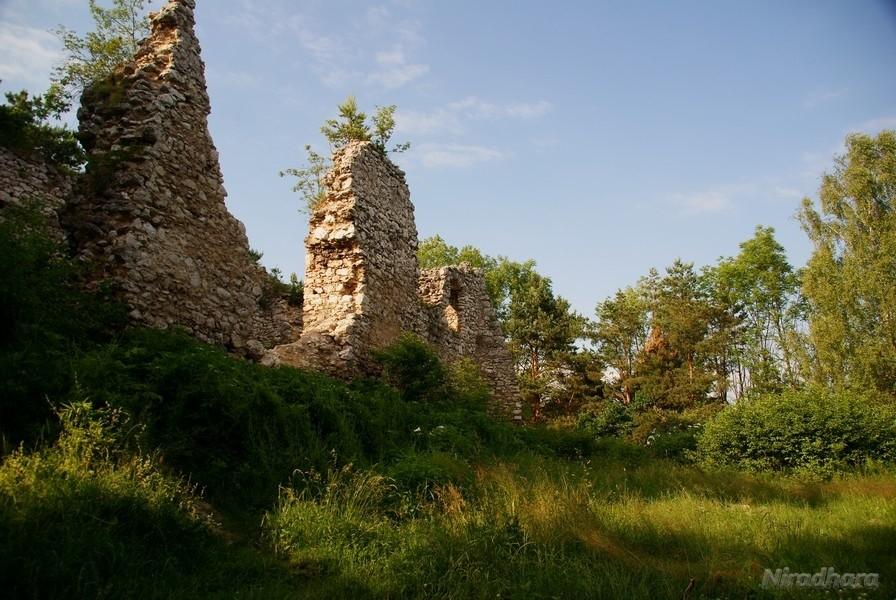 ruiny zamku Bydlin