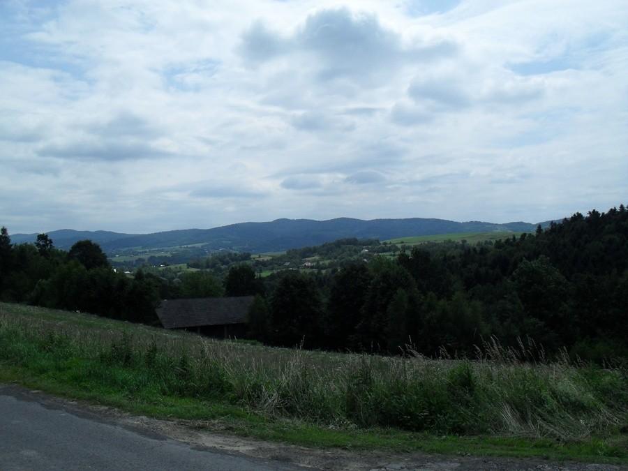 Widoczki