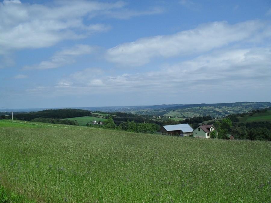 Widoczki