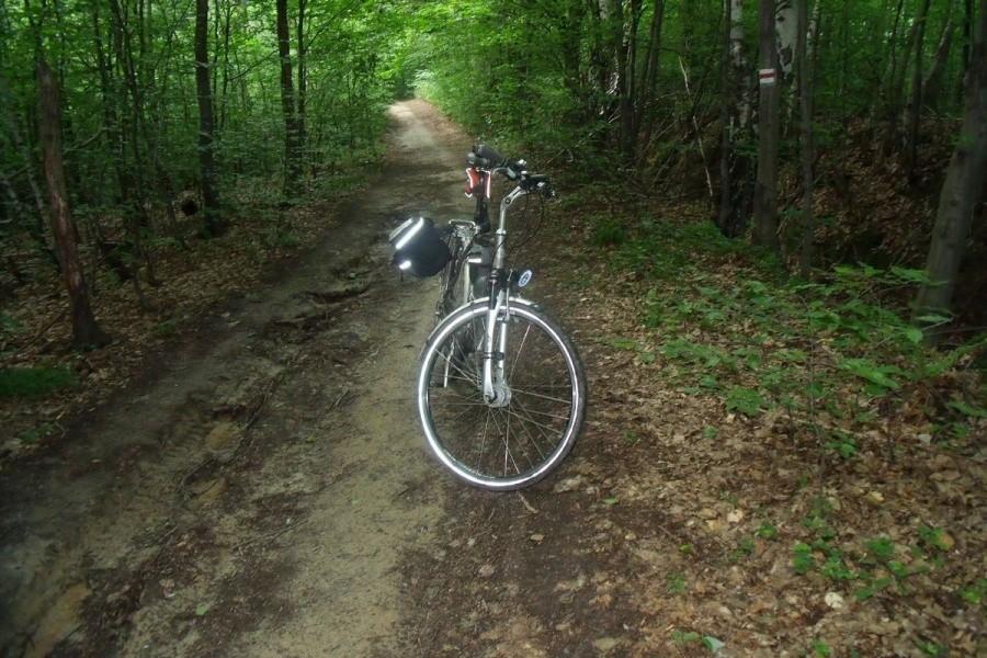 Fajny teren ale nie dla trekkinga