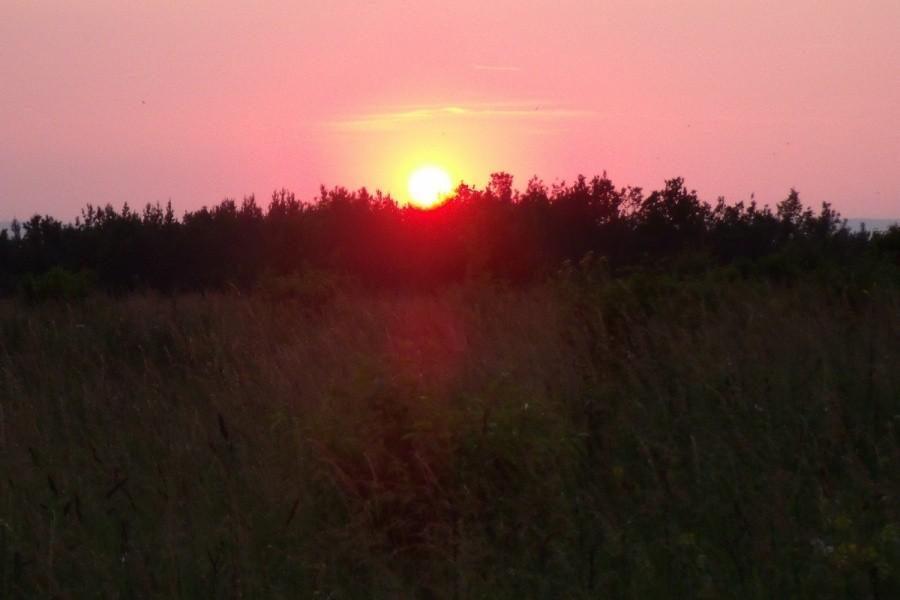 W Trzebini oglądamy zachód słońca
