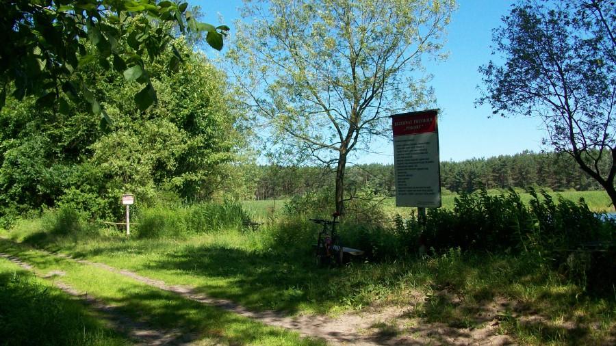 Rezerwat piskory