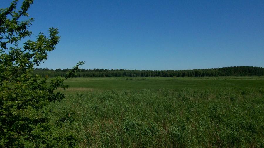 Widok z punktu widokowego