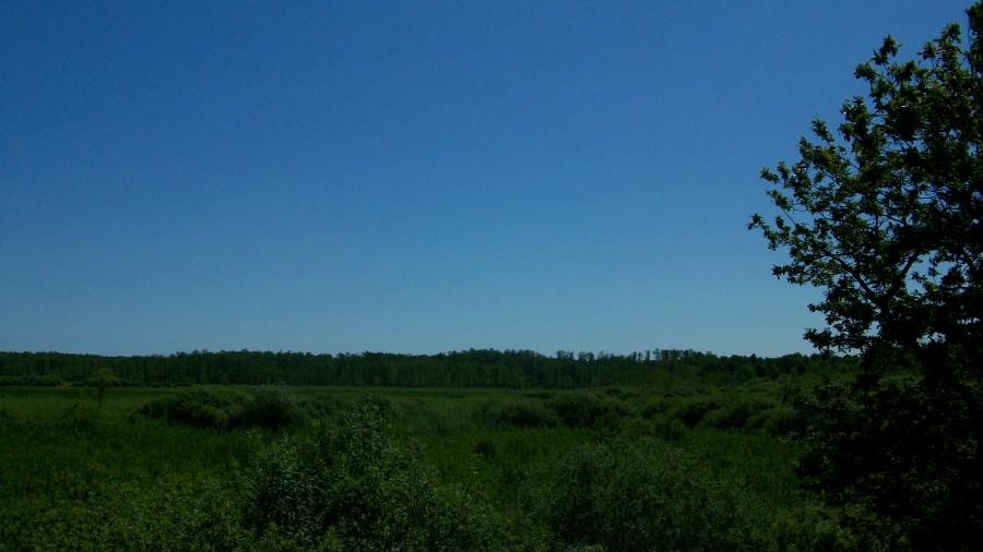 Widok na rezerwat z punktu widokowego