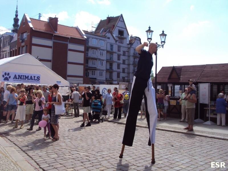 Dni Elbląga - sztywny gość.