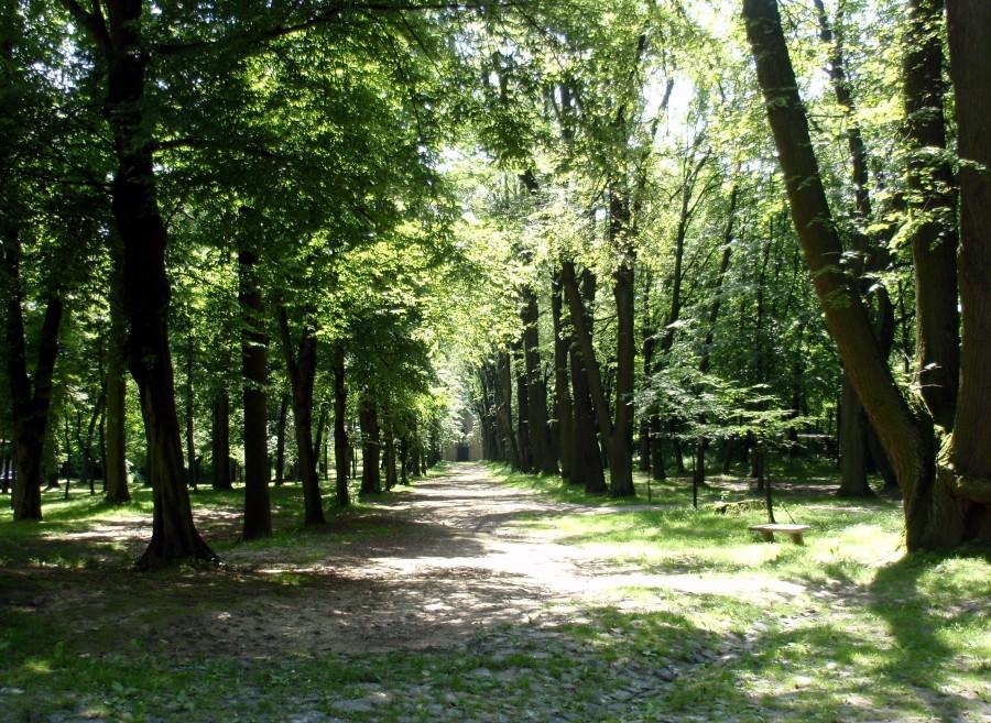 Na Górze Św. Anny