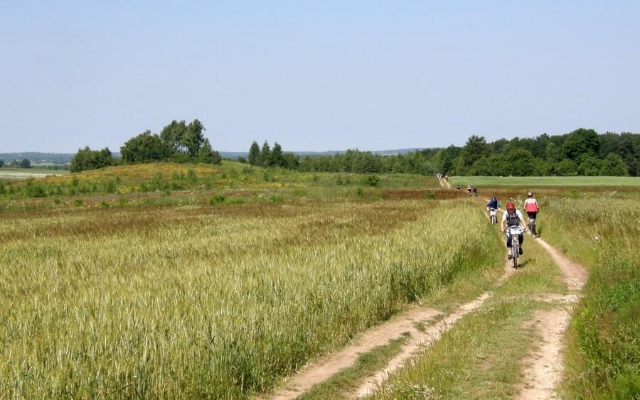 Bike Orient 2010. PK 20
