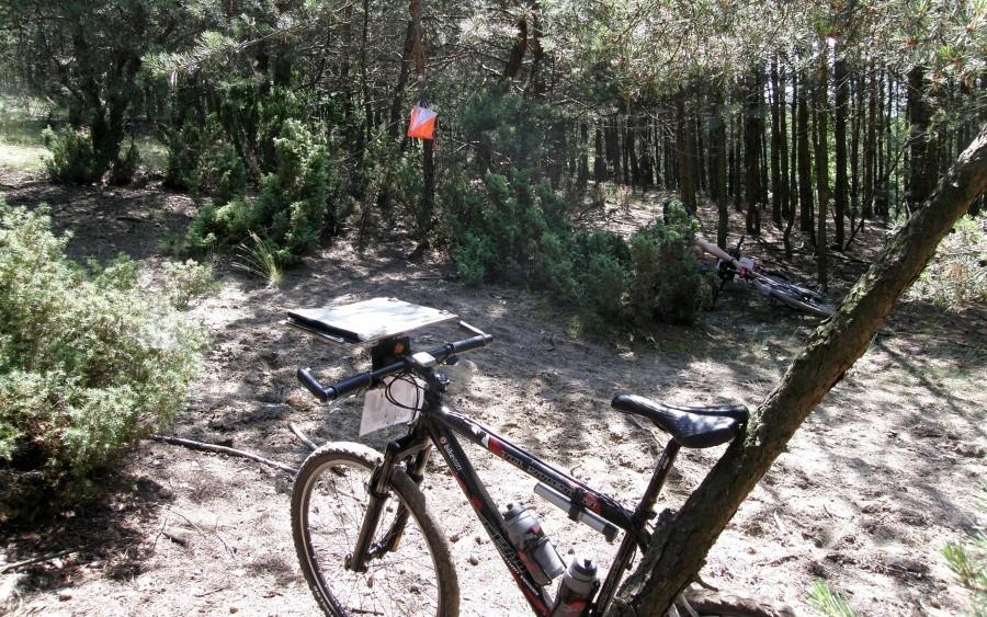 Bike Orient 2010. PK 15