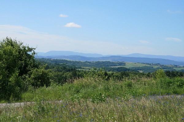 Widok z Łysej Góry