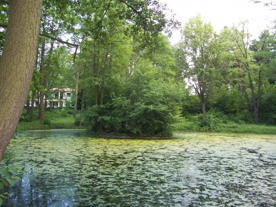 zielone jeziorko