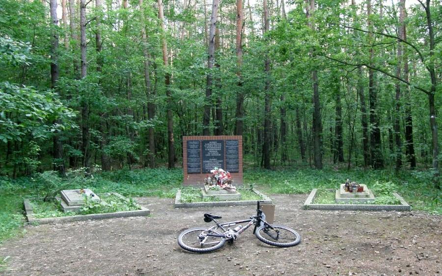 Bike Orient 2010. PK 31