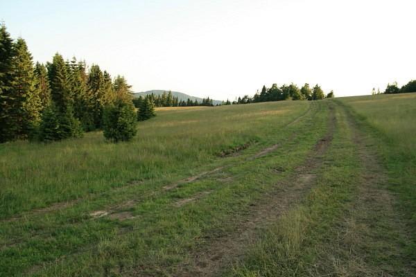 Polana Gwiaździsta