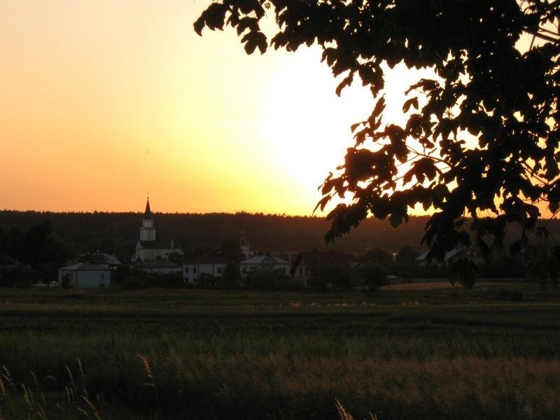 Wysokoa Głogowska.
