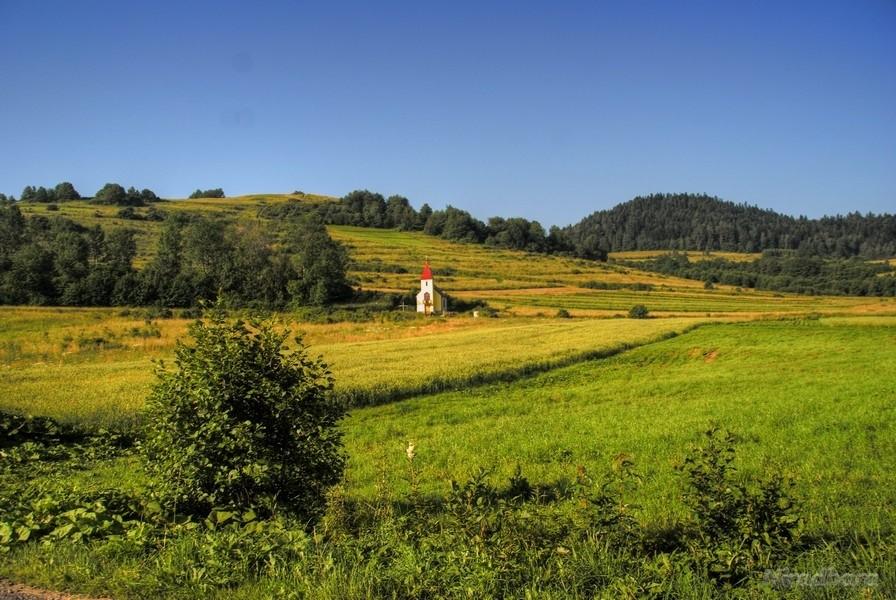 kapliczka