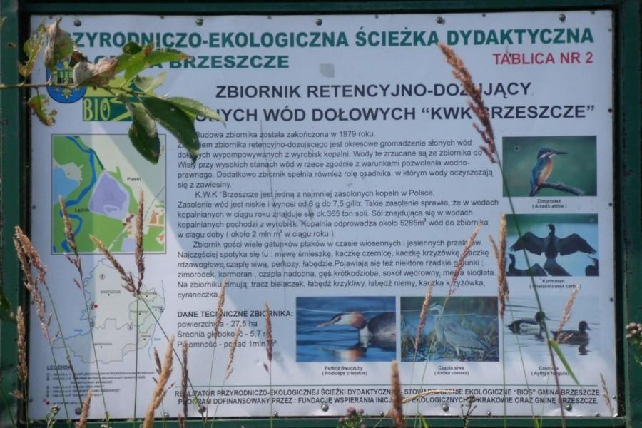 Kopalnia spuszcza słoną wodę i już atrakcja