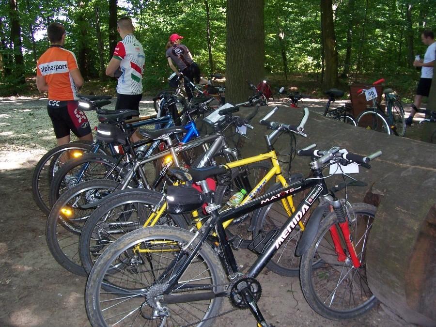 parking leśny