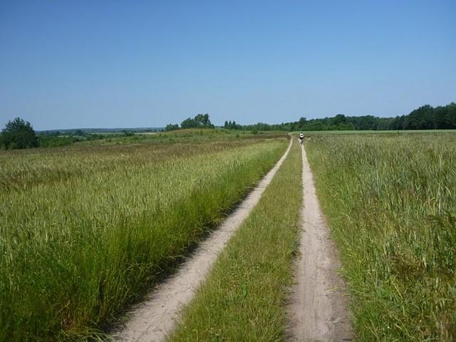 Bike Orient 2010 - polna droga