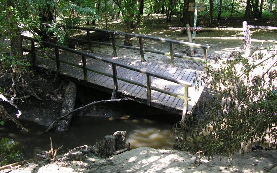 Uszkodzony mostek