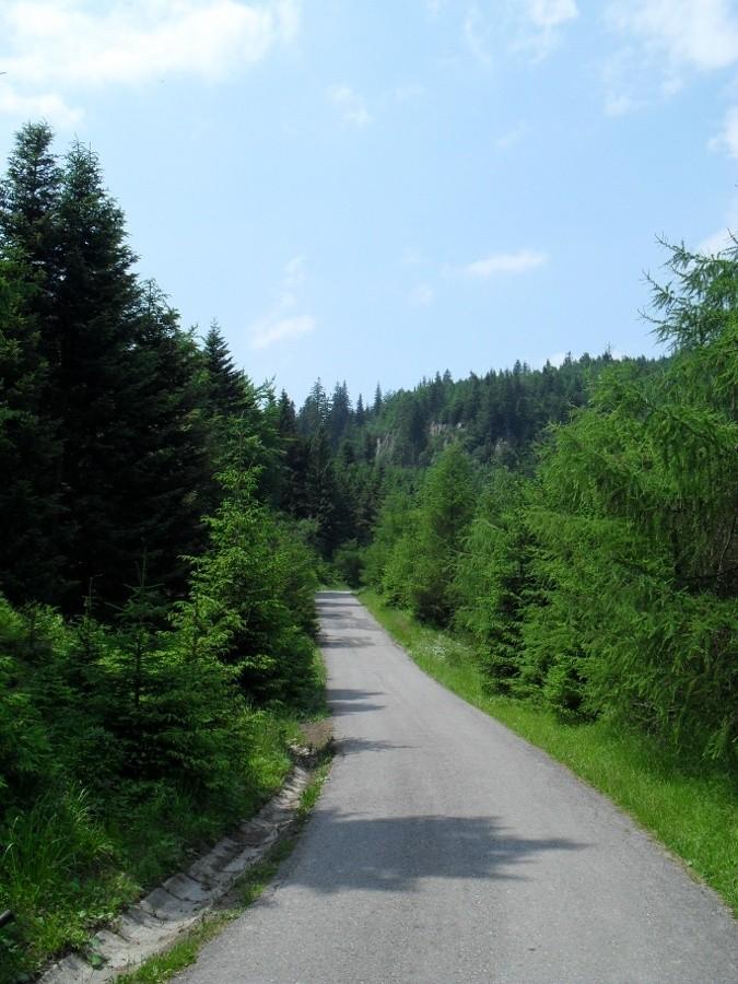Podjazd na Przechybe