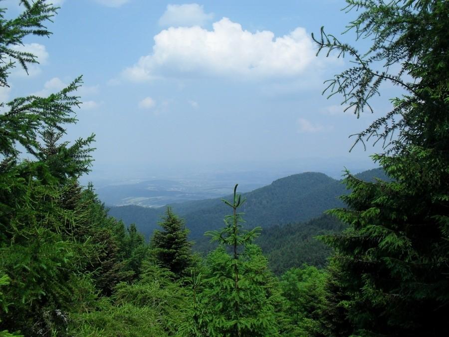 Widok na NS z podjazdu