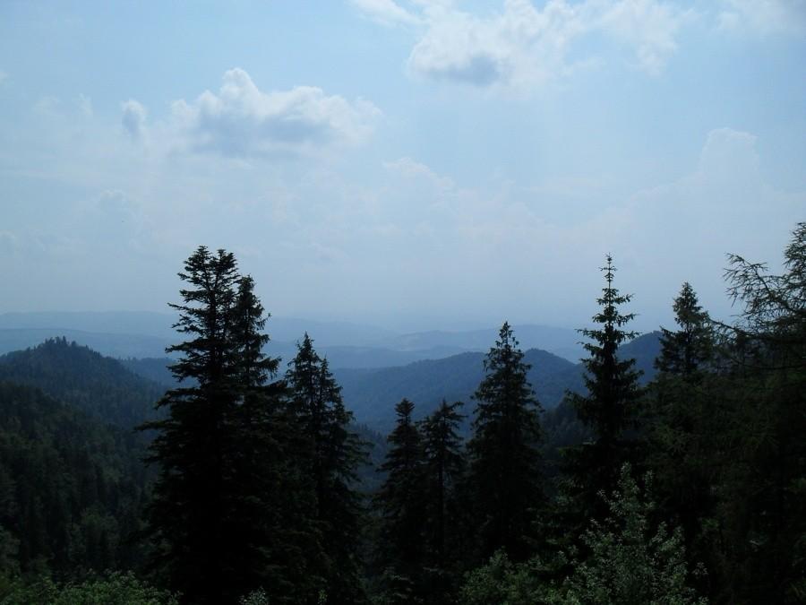 Gdzieś tam powinno być widac tatry ale niestety powietrze było za gęste:-(