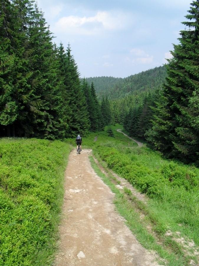 Szlak na Radziejową