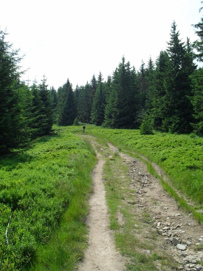 Szlak na Radziejową