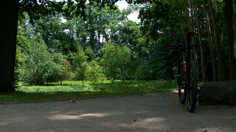 Czarnolas - park