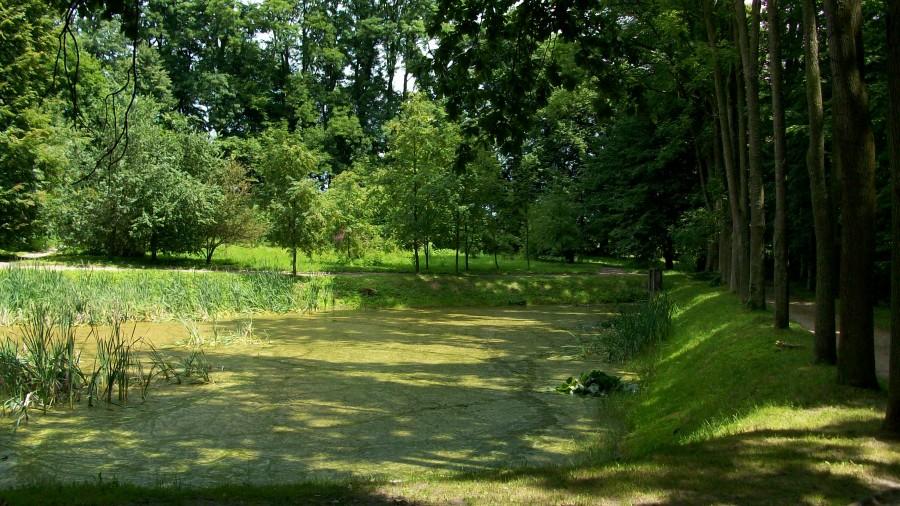 Czarnolas - park