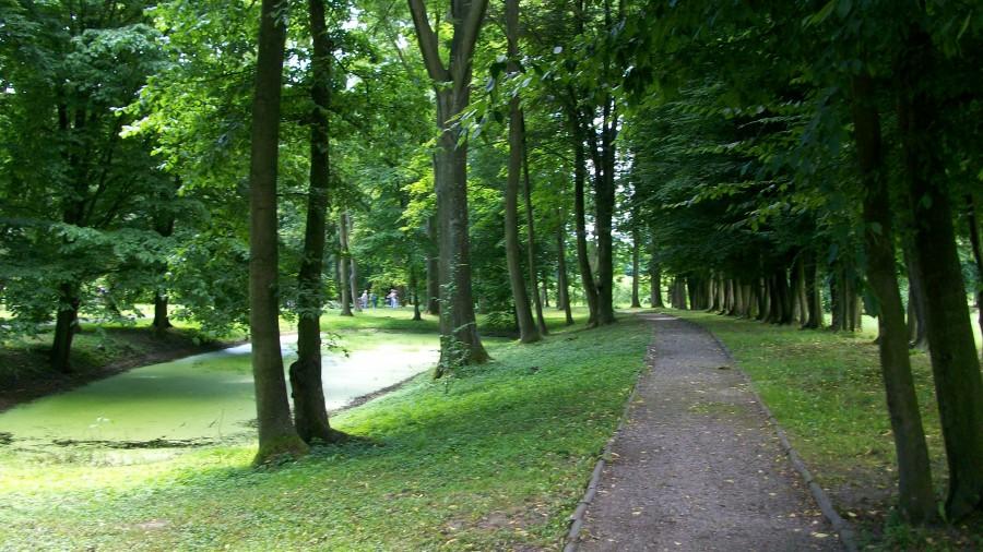 Czarnolas - park