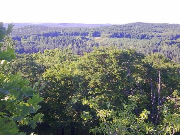 Widok z Zielonej Góry