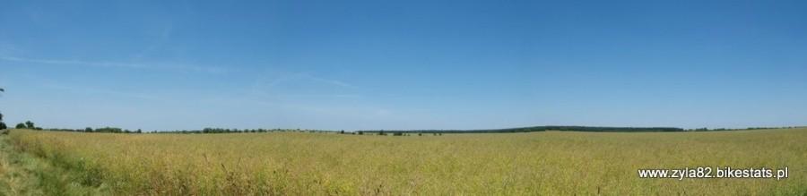 zbożowa panoramka