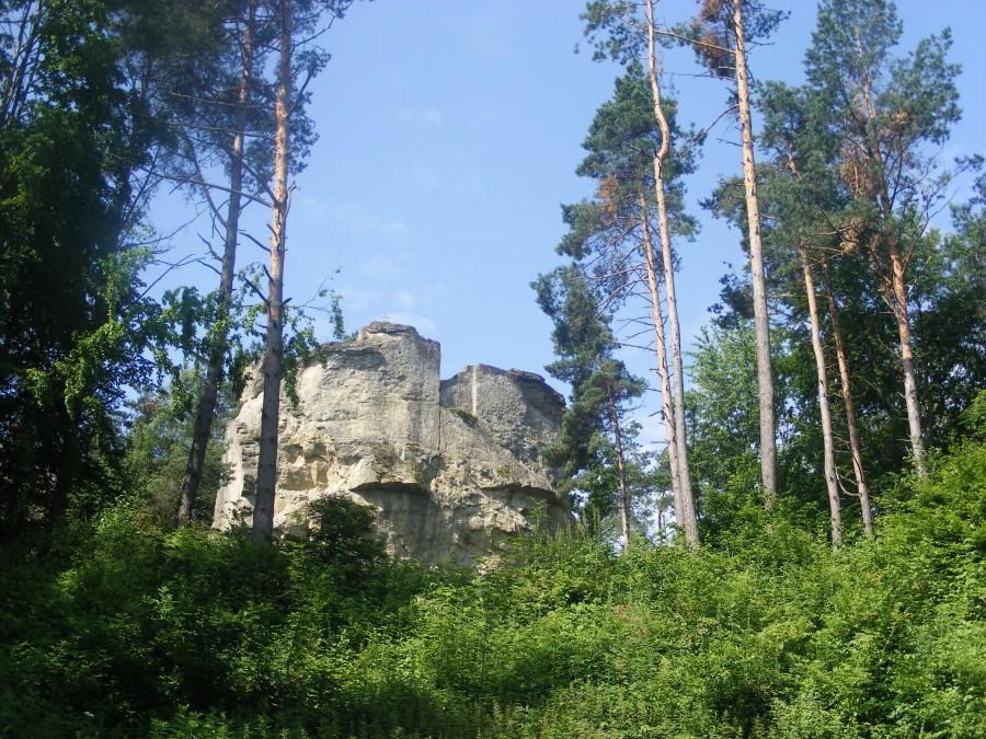 W rezerwacie "Kamień Leski"