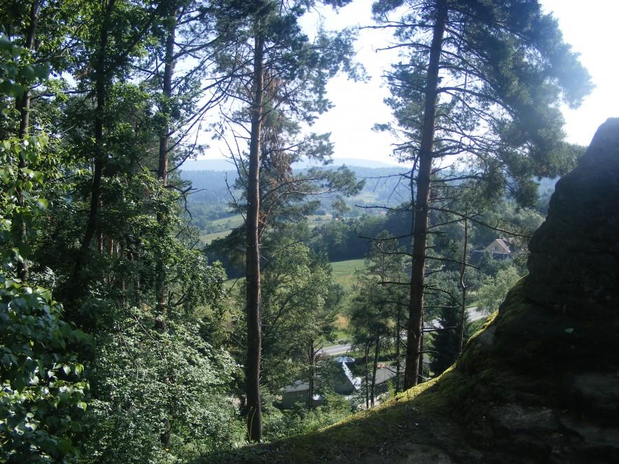 Widok z góry