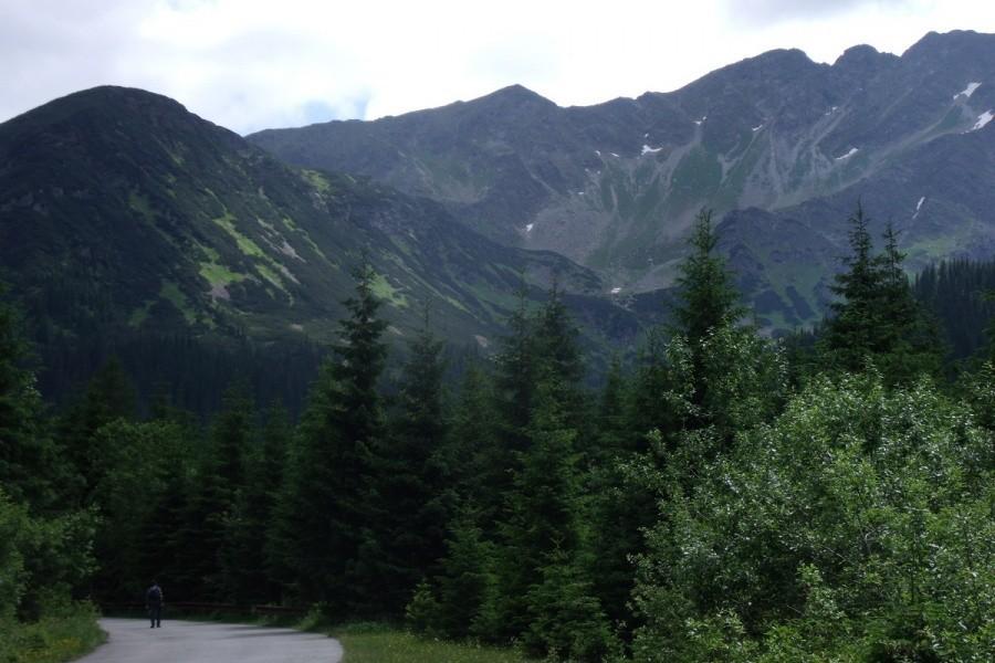 Widoczek
