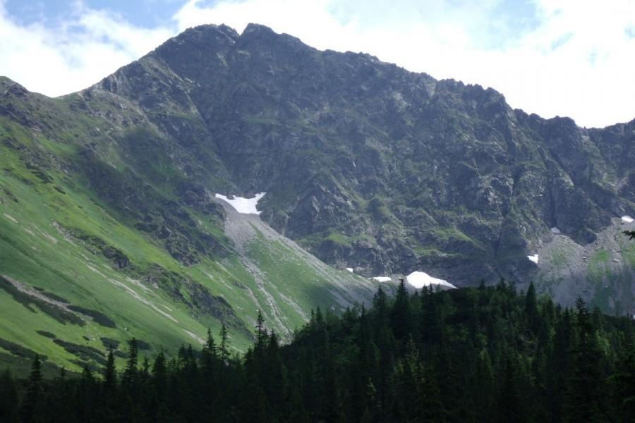 Widoczek