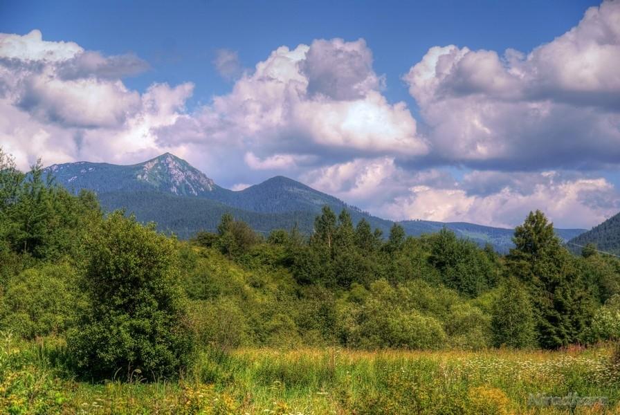 Osobita po raz drugi