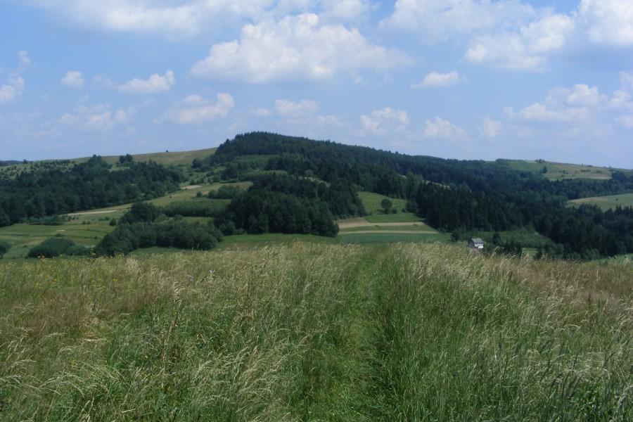 "Skrót" czyli przedzieranie się przez trawy;)