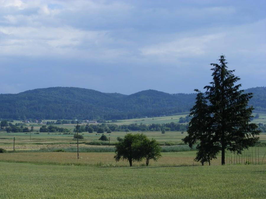 Czarnorzecko- Strzyżowski Park Krajobrazowy